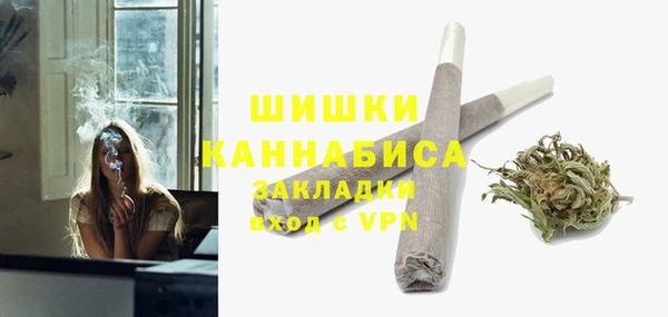 тгк Болотное