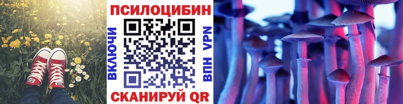 Галлюциногенные грибы Psilocybe Ясногорск